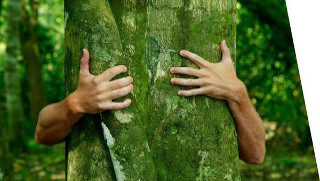 Mayence Groupe Valeurs engagement environnemental