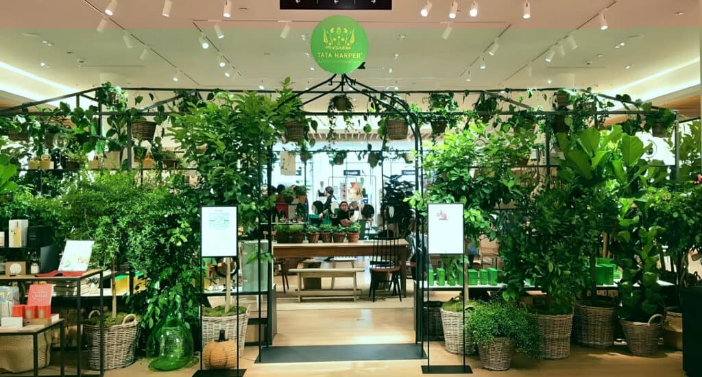 Vitrine de la boutique Tata Harper pour ses produits soins & beauté réalisée par Mayence avec une approche écologique et verdure